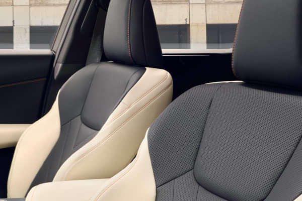 Lexus NX Front Seat Headrest