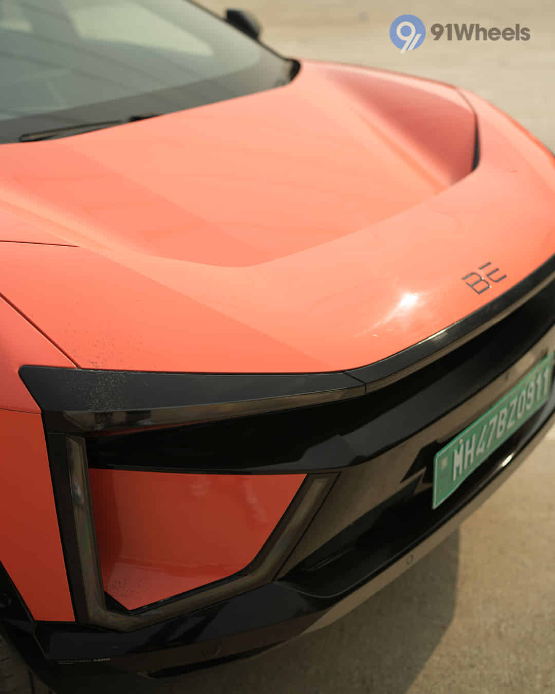 Closed Hood / Bonnet