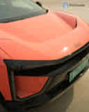 Closed Hood / Bonnet