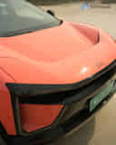 Closed Hood / Bonnet