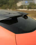 Rear Windshield / Windscreen