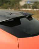 Rear Windshield / Windscreen
