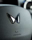 Driver Side Airbag