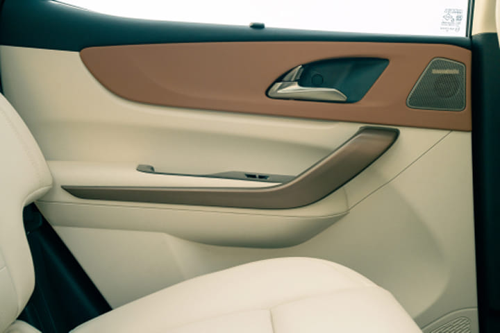 Mahindra XUV 7X0 Front Passenger Side Door Pad