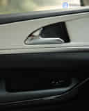 Rear Door Handle