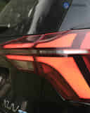 Rear Signal / Blinker Light