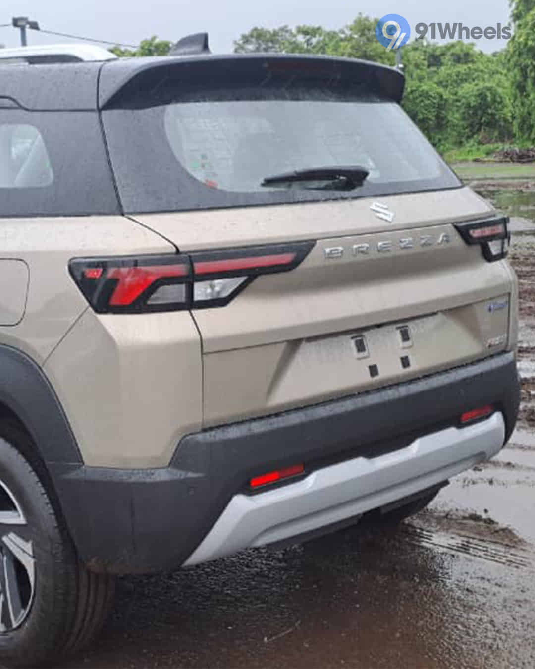 Rear Window Wiper