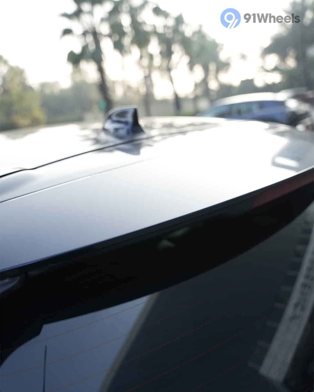 Rear Spoiler
