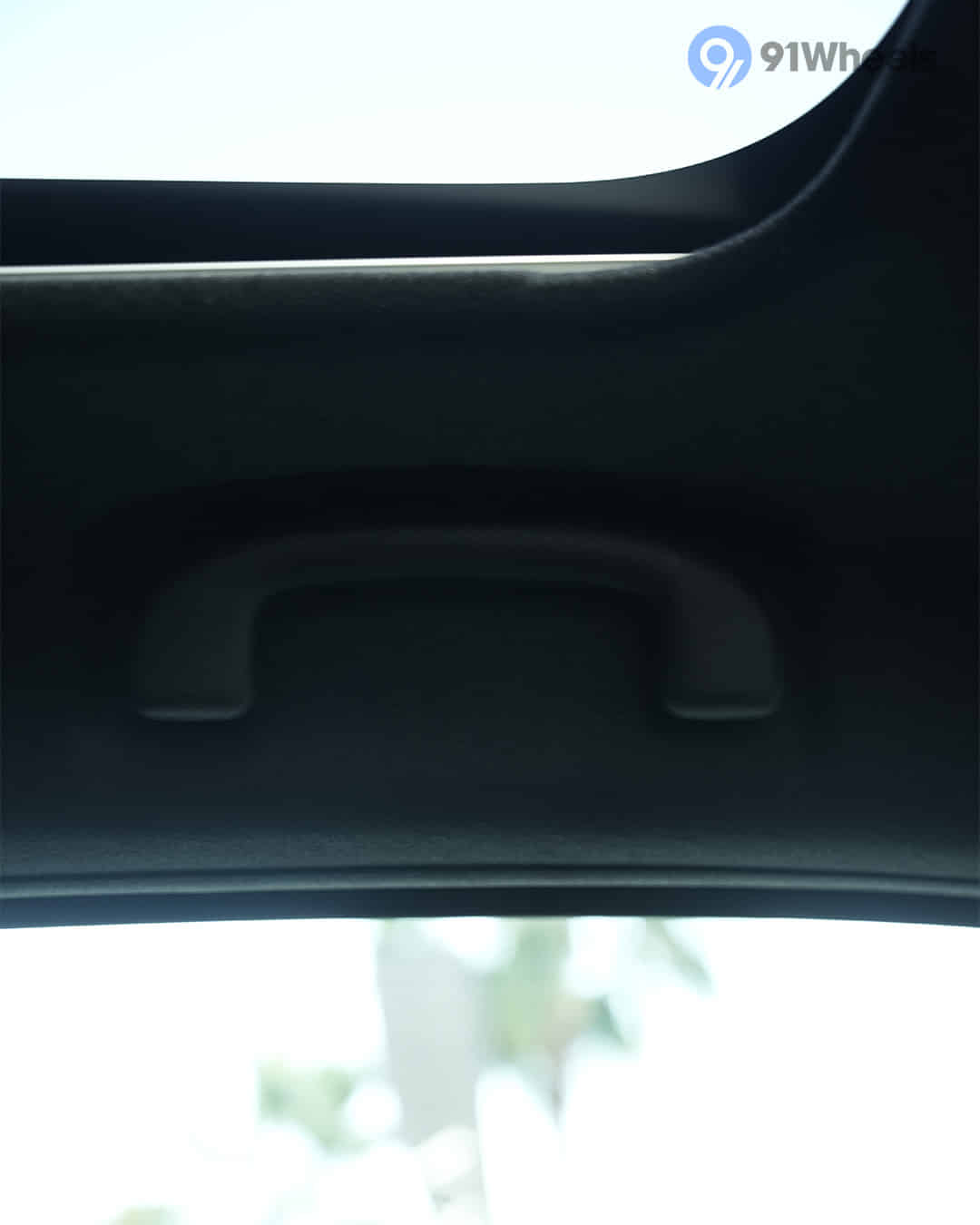 Rear Passenger Grab Handle