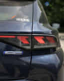 Rear Signal / Blinker Light