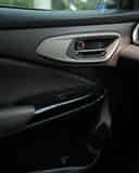 Front Passenger Side Door Pad