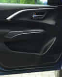 Rear Door Pad Handle