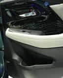 Front Passenger Side Door Pad
