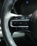 Left Steering Mounted Controls