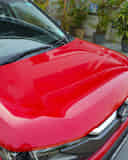 Closed Hood / Bonnet