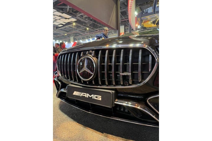 Mercedes-Benz S Class Grille