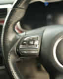 Left Steering Mounted Controls