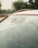 Front Windshield / Windscreen