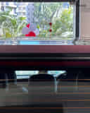 Rear High Mounted Stop Lamp