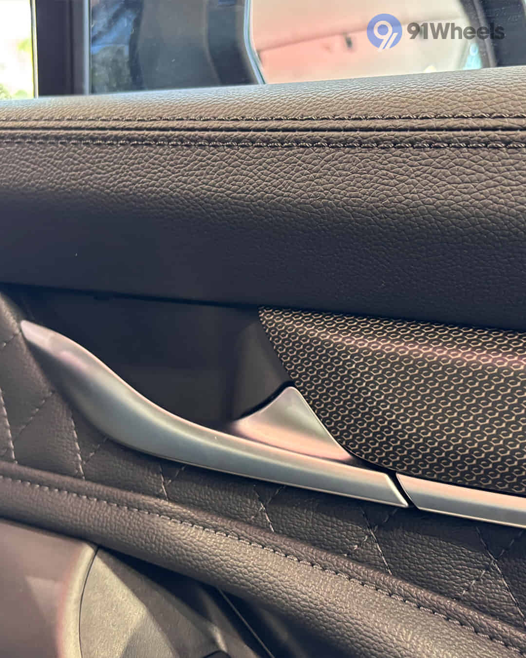 Rear Door Pad Handle