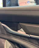 Rear Door Pad Handle