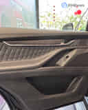 Rear Door Pad