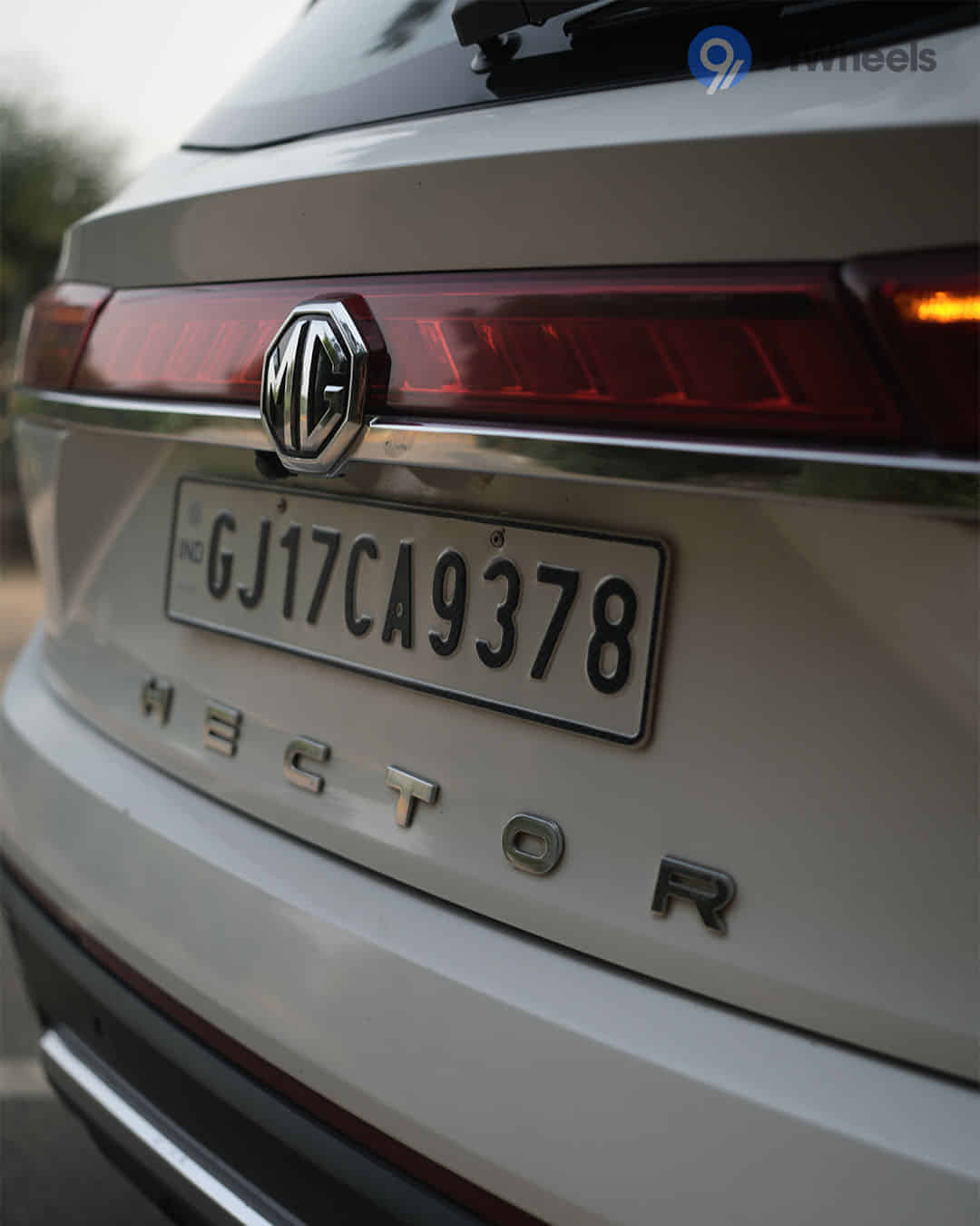 Rear Badge Rear Badge