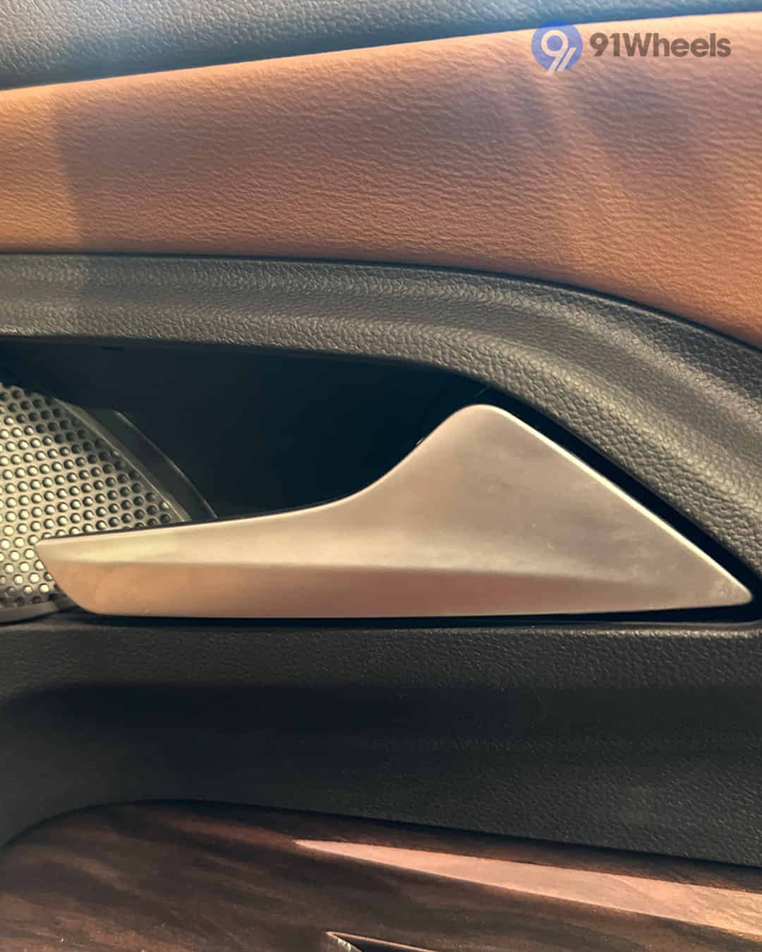 Rear Door Pad Handle