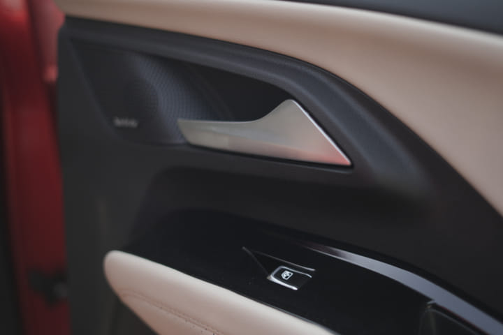 MG Hector 2023-2025 Rear Door Pad Handle