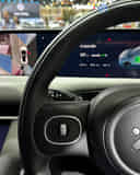 Left Steering Mounted Controls