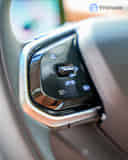 Left Steering Mounted Controls