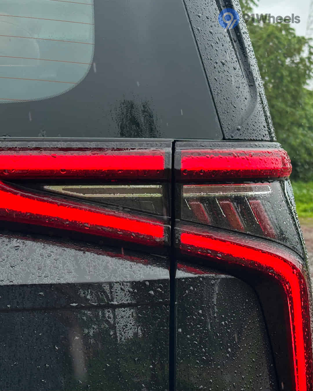 Tail Light / Tail Lamp