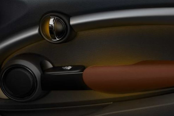 Mini  Cooper Convertible Front Door Pads