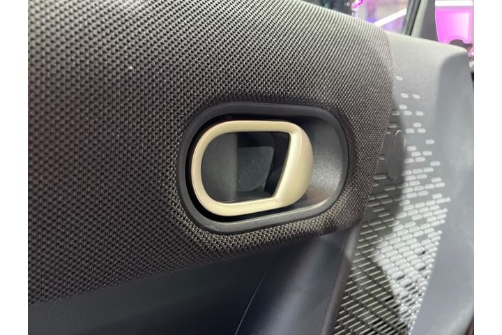 Mini Cooper Rear Door Pad Handle