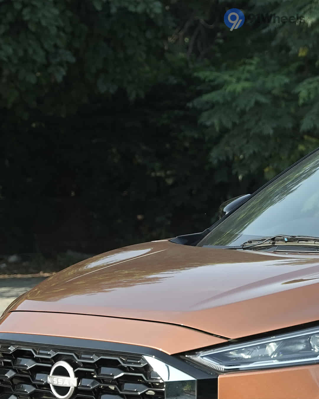 Closed Hood / Bonnet