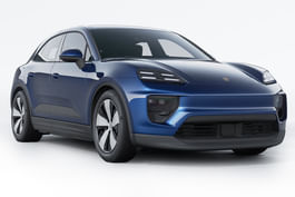 Macan image