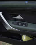 Driver Side Door Switches