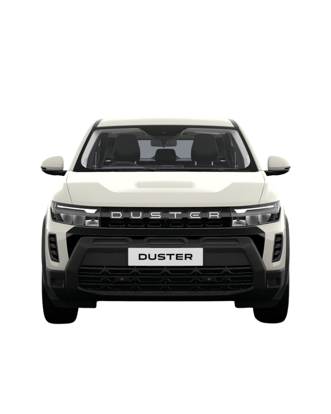 Renault Duster image