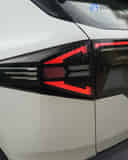 Rear Signal / Blinker Light