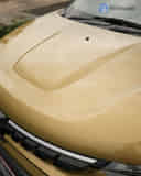 Closed Hood / Bonnet