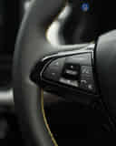 Left Steering Mounted Controls