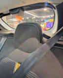 Rear Headrests