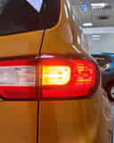 Rear Signal / Blinker Light