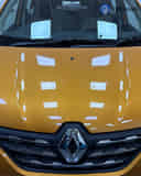 Closed Hood / Bonnet