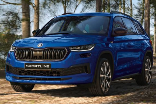 Skoda Kodiaq 2022 - 2025 Grille
