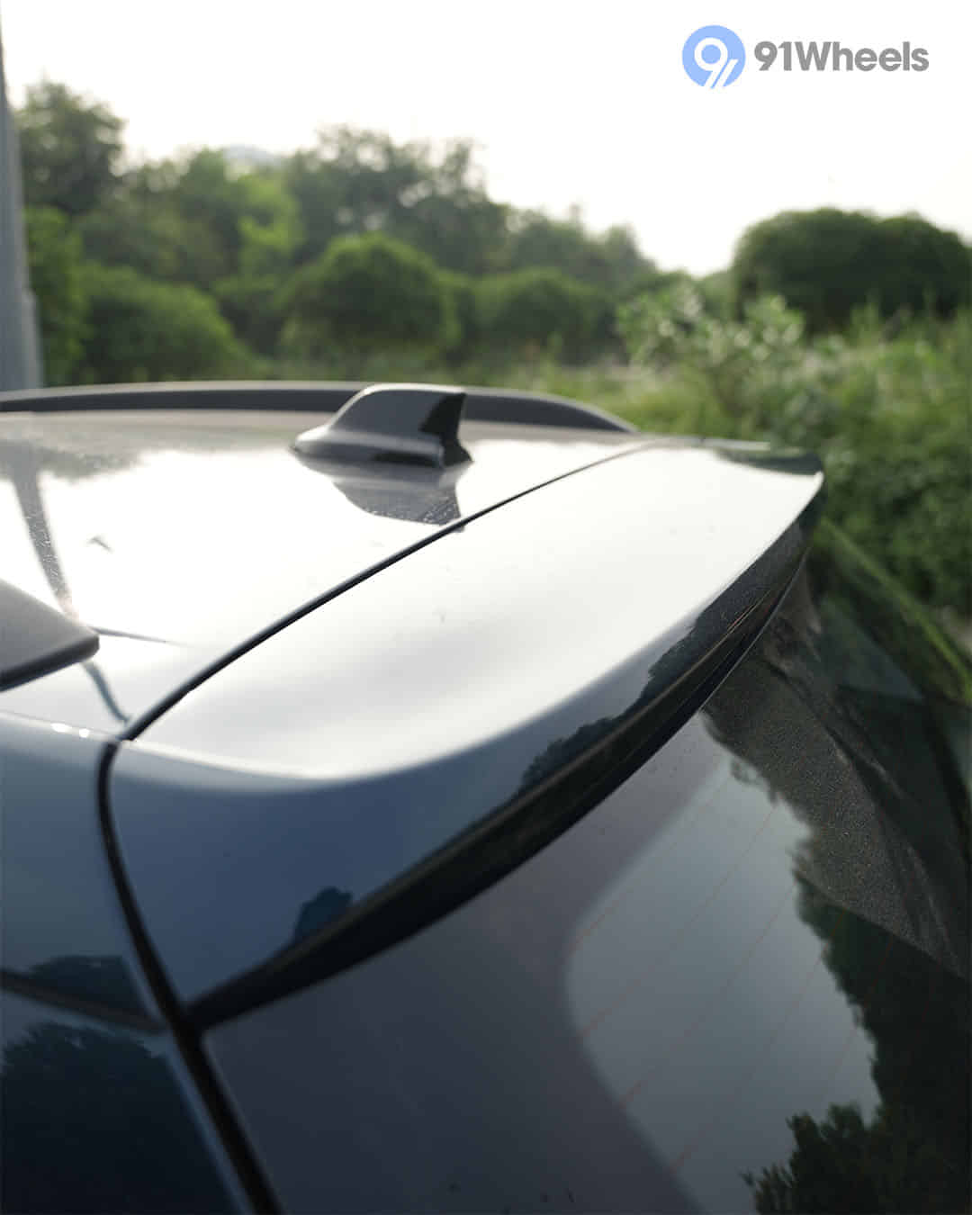 Rear Spoiler