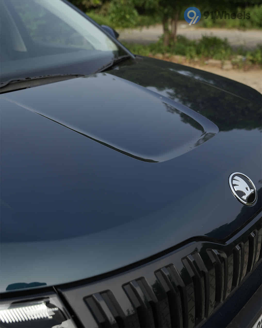 Closed Hood / Bonnet