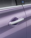 Front Door Handle