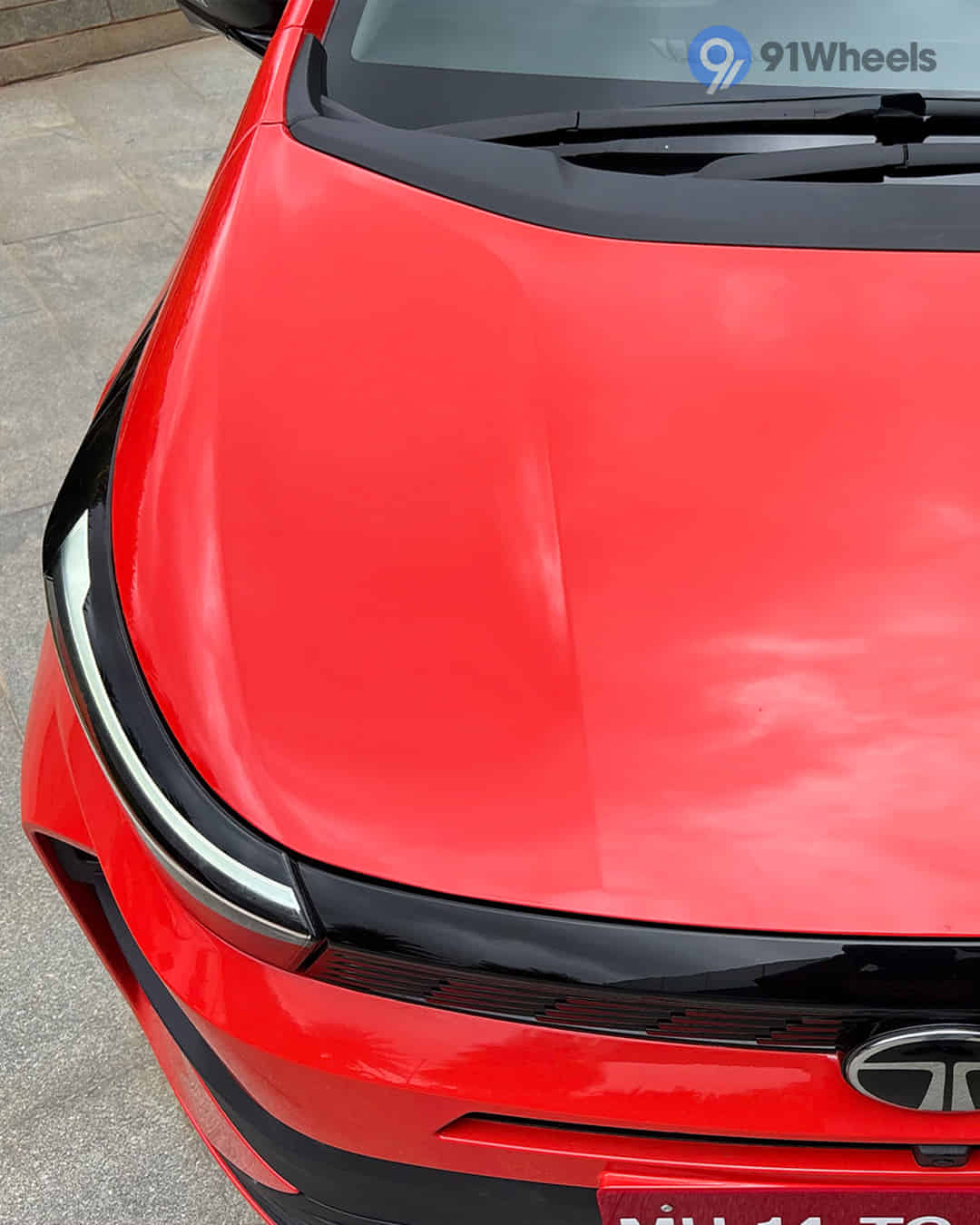 Closed Hood / Bonnet