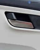 Rear Door Pad Handle